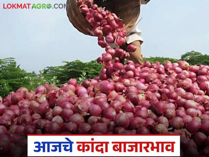 Latest News Kanda Bajar Bhav One lakh quintals of unhal kanda aavak in Nashik district | Kanda Bajar Bhav : नाशिक जिल्ह्यात उन्हाळ कांद्याची एक लाख क्विंटलची आवक, काय दर मिळाला?  Latest News Kanda Bajar Bhav One lakh quintals of unhal kanda aavak in Nashik district | Kanda Bajar Bhav : नाशिक जिल्ह्यात उन्हाळ कांद्याची एक लाख क्विंटलची आवक, काय दर मिळाला?