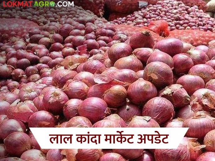 Latest News Lasalgaon Kanda Market: Lasalgaon market down again, see todays kanda bajarbhav | Lasalgaon Kanda Market : लासलगाव बाजारात पुन्हा घसरण, आज लाल कांद्याला काय भाव मिळाला? Latest News Lasalgaon Kanda Market: Lasalgaon market down again, see todays kanda bajarbhav | Lasalgaon Kanda Market : लासलगाव बाजारात पुन्हा घसरण, आज लाल कांद्याला काय भाव मिळाला?