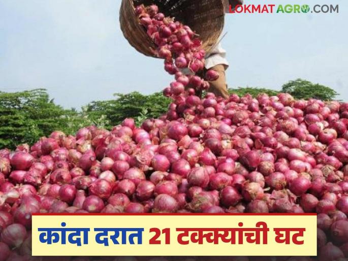 Latest News Lal Kanda Market Onion prices drop by 21 percent, see last week kanda bajarbhav | Kanda Market : कांदा दरात 21 टक्क्यांची घट, मागील आठवड्यात कसे बाजारभाव मिळाले?  Latest News Lal Kanda Market Onion prices drop by 21 percent, see last week kanda bajarbhav | Kanda Market : कांदा दरात 21 टक्क्यांची घट, मागील आठवड्यात कसे बाजारभाव मिळाले?