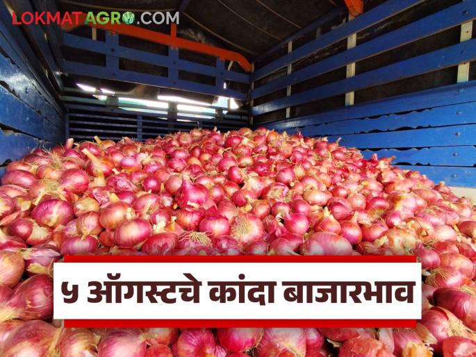 Latest News Kanda Market see todays 5 august onion market Nashik, Pune, Mumbai markets Read in detail | Kanda Market : 5 ऑगस्ट रोजी नाशिक, पुणे, मुंबई बाजारात कांद्याला काय दर मिळाला? वाचा सविस्तर Latest News Kanda Market see todays 5 august onion market Nashik, Pune, Mumbai markets Read in detail | Kanda Market : 5 ऑगस्ट रोजी नाशिक, पुणे, मुंबई बाजारात कांद्याला काय दर मिळाला? वाचा सविस्तर