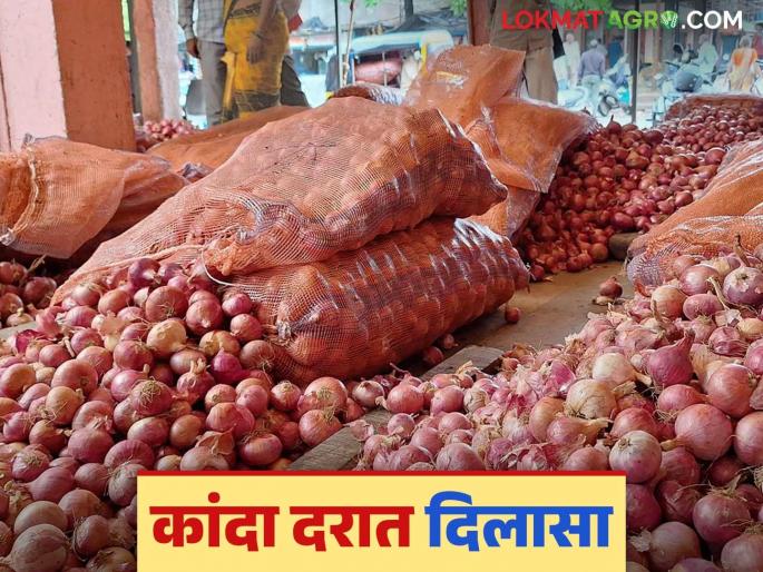 Latest News Kanda Market Onion arrivals increased by 2 percent last week, prices increased by 3.31 percent | Kanda Market Update : मागील आठवड्यात कांदा आवकेत 2 टक्क्यांची वाढ, तर दरात 3.31 टक्के वाढ Latest News Kanda Market Onion arrivals increased by 2 percent last week, prices increased by 3.31 percent | Kanda Market Update : मागील आठवड्यात कांदा आवकेत 2 टक्क्यांची वाढ, तर दरात 3.31 टक्के वाढ