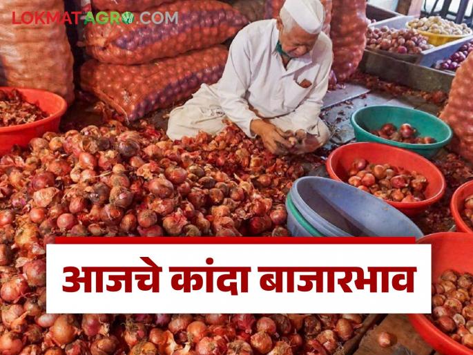 Latest News Kanda Bajarbhav Solapur onion market has lowest price of season, see other kanda market prices | Kanda Bajar Bhav : सोलापूर कांदा मार्केटला हंगामातील सर्वात निचांकी दर, नाशिक जिल्ह्यात कसे? Latest News Kanda Bajarbhav Solapur onion market has lowest price of season, see other kanda market prices | Kanda Bajar Bhav : सोलापूर कांदा मार्केटला हंगामातील सर्वात निचांकी दर, नाशिक जिल्ह्यात कसे?