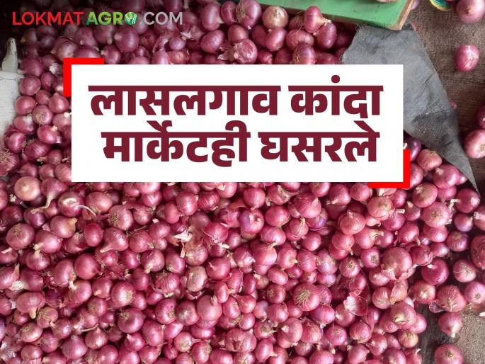 Latest News Kanda Market Update prices in Lasalgaon onion market fell after solapur market see kanda bajarbhav | Kanda Market Update : सोलापूरपाठोपाठ लासलगाव कांदा मार्केटमध्ये दर घसरले, वाचा आजचे बाजारभाव Latest News Kanda Market Update prices in Lasalgaon onion market fell after solapur market see kanda bajarbhav | Kanda Market Update : सोलापूरपाठोपाठ लासलगाव कांदा मार्केटमध्ये दर घसरले, वाचा आजचे बाजारभाव