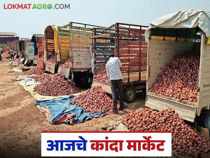 Latest News Kanda Market Lasalgaon onion market prices on October 13, read in detail | Kanda Market : 13 ऑक्टोबर रोजी लासलगाव कांदा मार्केटमध्ये काय दर मिळाला, वाचा सविस्तर 