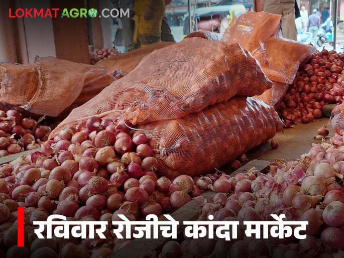 Latest news Pune, highest onion arrival in Ahilyanagar market, see 2 november kanda market rates | Kanda Market : पुणे, अहिल्यानगर मार्केटमध्ये सर्वाधिक कांदा आवक, आज काय दर मिळाले? 