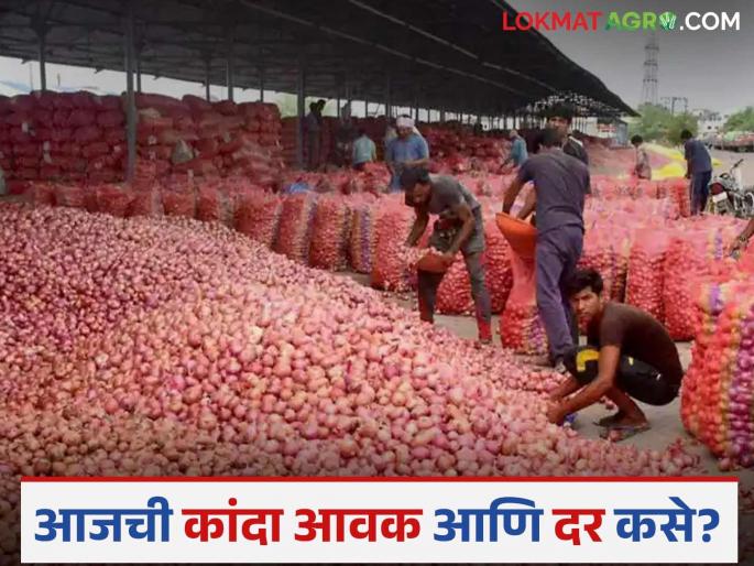 latest News Kanda bajar bhav Satisfactory prices for lal kanda in Nagpur and unhal onions in Umrane | Kanda Bajar Bhav : नागपूरमध्ये लाल तर उमराणेत उन्हाळ कांद्याला समाधानकारक दर, काय मिळाला भाव? 
