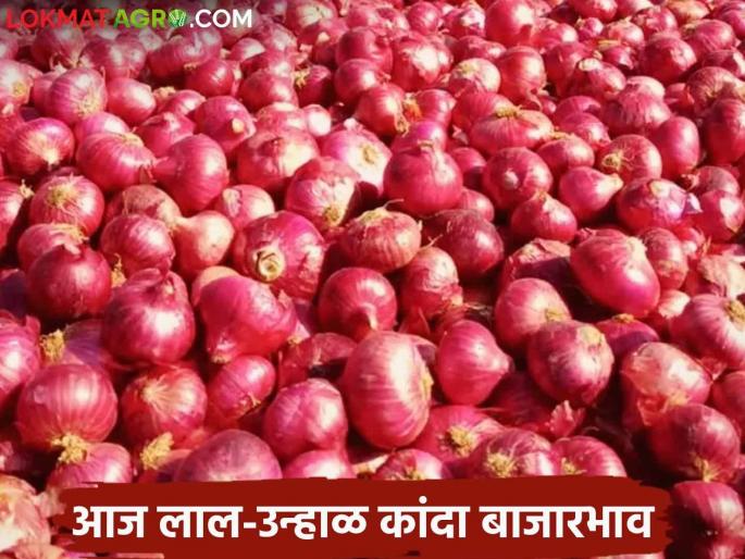 Latest News Kanda Bajarbhav Summer Onion Market Price in Nagar, Nashik, Sambhajinagar District, Read Details | Kanda Bajarbhav : नगर, नाशिक, संभाजीनगर जिल्ह्यातील उन्हाळ कांदा बाजारभाव, वाचा सविस्तर Latest News Kanda Bajarbhav Summer Onion Market Price in Nagar, Nashik, Sambhajinagar District, Read Details | Kanda Bajarbhav : नगर, नाशिक, संभाजीनगर जिल्ह्यातील उन्हाळ कांदा बाजारभाव, वाचा सविस्तर