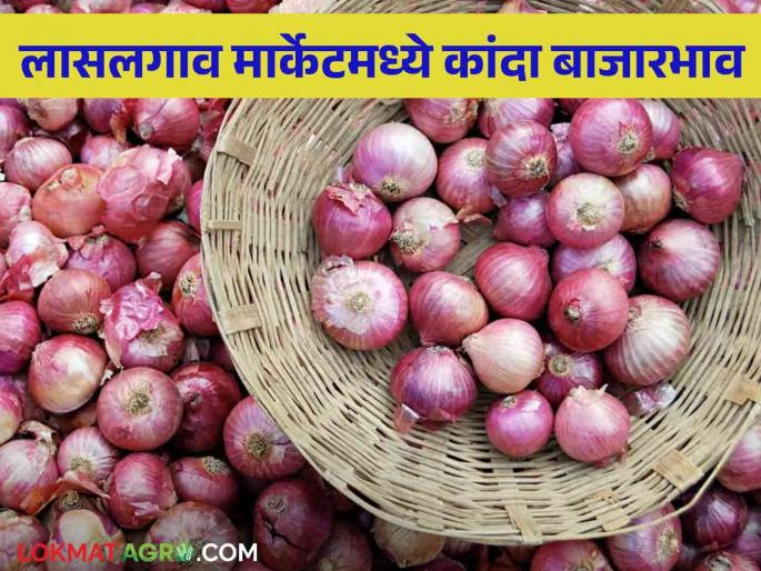 Latest News Kanda Bajarbhav todays onion price in Pune, Solapur, Nashik kanda market see details | Kanda Bajarbhav : पुणे, सोलापूर, नाशिकमध्ये कांद्याला काय भाव? वाचा आजचे बाजारभाव Latest News Kanda Bajarbhav todays onion price in Pune, Solapur, Nashik kanda market see details | Kanda Bajarbhav : पुणे, सोलापूर, नाशिकमध्ये कांद्याला काय भाव? वाचा आजचे बाजारभाव
