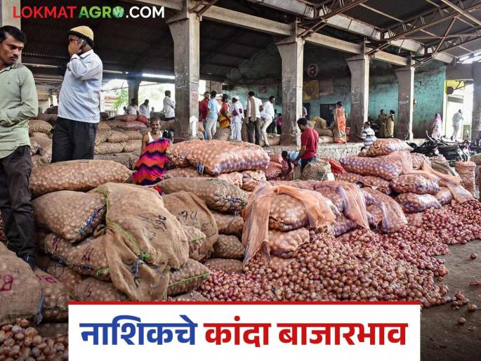 Latest News Kanda Bajar Bhav Unhal Kanda market price in Nashik district see details | Kanda Bajar Bhav : नाशिक जिल्ह्यात उन्हाळ कांद्याला क्विंटलमागे काय दर मिळतोय? वाचा बाजारभाव