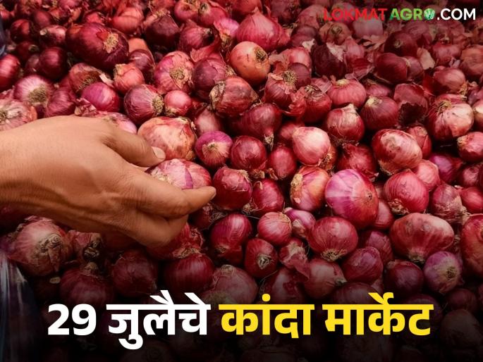 Latest News Kanda Market Onion market fell by 8 percent in lasalgaon market, read onion market on July 29 | Kanda Market : 'या' बाजारात 8 टक्क्यांनी कांदा बाजार घसरले, वाचा 29 जुलै रोजीचे कांदा मार्केट  Latest News Kanda Market Onion market fell by 8 percent in lasalgaon market, read onion market on July 29 | Kanda Market : 'या' बाजारात 8 टक्क्यांनी कांदा बाजार घसरले, वाचा 29 जुलै रोजीचे कांदा मार्केट