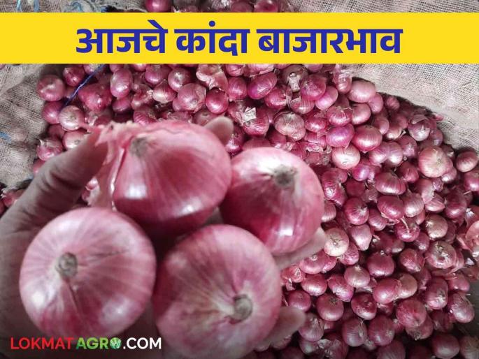 Latest News Kanda Bajarbhav Summer onion market price in Nashik district see details | Kanda Bajarbhav : नाशिक जिल्ह्यात उन्हाळ कांद्याला काय भाव मिळाला? वाचा आजचे बाजारभाव Latest News Kanda Bajarbhav Summer onion market price in Nashik district see details | Kanda Bajarbhav : नाशिक जिल्ह्यात उन्हाळ कांद्याला काय भाव मिळाला? वाचा आजचे बाजारभाव