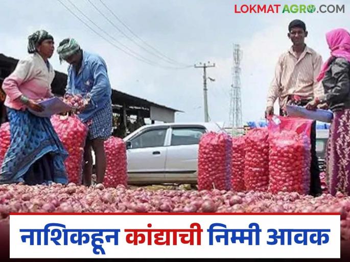 Latest News Kanda bajar Bhav Nashik district for highest 67 percent of onion arrivals in maharashtra | Kanda Bajar Bhav : राज्यात नाशिक जिल्ह्यातून कांद्याची सर्वाधिक 67 टक्के आवक, दराचं काय? 