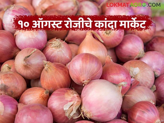 Latest News Kanda Market What was the district-wise onion price on August 10 Read in detail | Kanda Market : 10 ऑगस्ट रोजी जिल्हानिहाय कांद्याला काय दर मिळाले? वाचा सविस्तर Latest News Kanda Market What was the district-wise onion price on August 10 Read in detail | Kanda Market : 10 ऑगस्ट रोजी जिल्हानिहाय कांद्याला काय दर मिळाले? वाचा सविस्तर