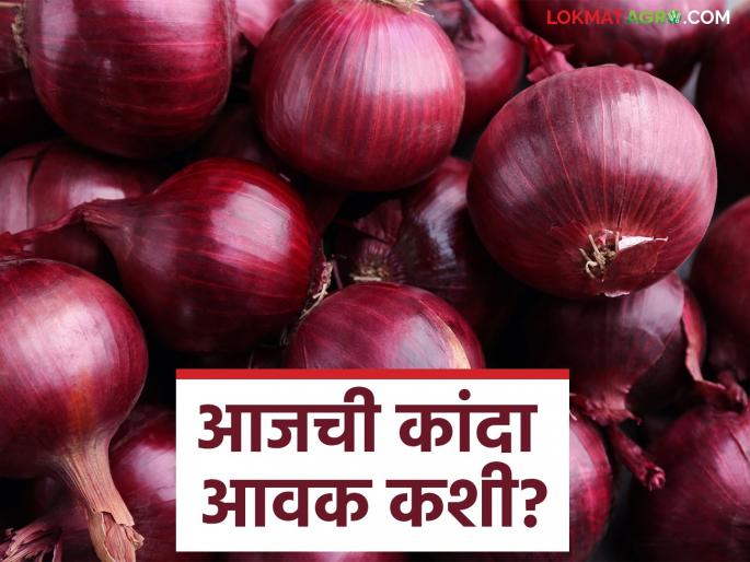Latest news Kanda bajarbhav todays lal and unhal kanda market price see details | Kanda Bajarbhav : उन्हाळ कांद्याची आवक वाढली, आज काय भाव मिळाला? वाचा सविस्तर  Latest news Kanda bajarbhav todays lal and unhal kanda market price see details | Kanda Bajarbhav : उन्हाळ कांद्याची आवक वाढली, आज काय भाव मिळाला? वाचा सविस्तर