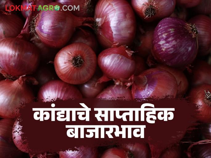 Latest News weekly Kanda Market Onion arrivals increased by 35 percent last week, read in detail | Weekly Kanda Market : मागील आठवड्यात कांद्याच्या आवकेत 35 टक्क्यांची वाढ, वाचा सविस्तर Latest News weekly Kanda Market Onion arrivals increased by 35 percent last week, read in detail | Weekly Kanda Market : मागील आठवड्यात कांद्याच्या आवकेत 35 टक्क्यांची वाढ, वाचा सविस्तर