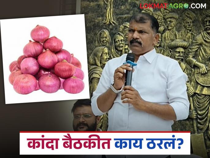 Latest News Kanda Market Issue Important meeting held in Lasalgaon regarding increase in onion prices | Kanda Market Issue : लासलगावच्या कांदा उत्पादक शेतकऱ्यांच्या बैठकीत काय ठरलं? 'हे' ठराव मांडले