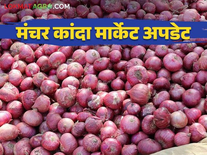 Kanda Bajar Bhav : How onion got the price in Manchar Bazaar Committee on the occasion of Diwali | Kanda Bajar Bhav : दिवाळीच्या मुहूर्तावर मंचर बाजार समितीत कांद्याला कसा मिळाला दर Kanda Bajar Bhav : How onion got the price in Manchar Bazaar Committee on the occasion of Diwali | Kanda Bajar Bhav : दिवाळीच्या मुहूर्तावर मंचर बाजार समितीत कांद्याला कसा मिळाला दर