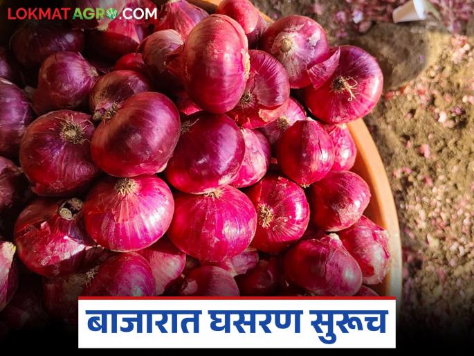 Will onion prices exceed expectations? Onions in the storage chal are rotting, while the market continues to fall | कांदा दर अपेक्षांचा उंबरठा ओलांडेल का? चाळीतील कांदा सडतोय तर बाजारात घसरण सुरूच