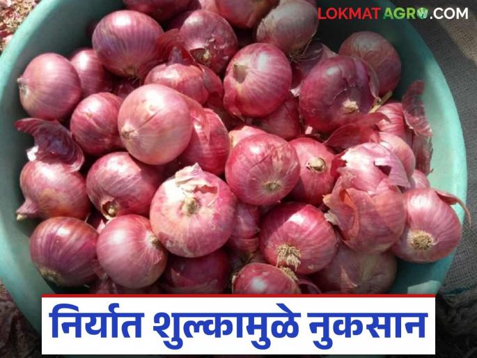 Kanda Bajar Bhav : Onion arrivals have increased; Will onion prices remain the same compared to last year? | Kanda Bajar Bhav : कांद्याची आवक वाढली; मागील वर्षाच्या तुलनेत कांद्याला टिकून राहतील का दर?