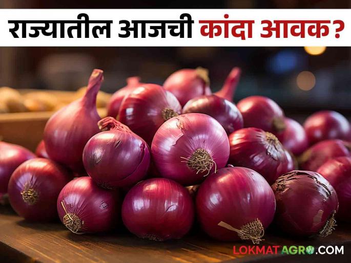 Latest News Todays Onion Market price maharashtra mandi check here kanda bajarbhav | Kanda Bajarbhav : राज्यात कांद्याला सरासरी काय भाव मिळतोय? वाचा आजचे बाजारभाव Latest News Todays Onion Market price maharashtra mandi check here kanda bajarbhav | Kanda Bajarbhav : राज्यात कांद्याला सरासरी काय भाव मिळतोय? वाचा आजचे बाजारभाव