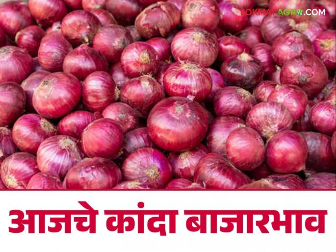kanda Bajarbhav : Onion Bangladesh chaos has no effect on onion market prices, read today's market prices | kanda Bajarbhav : बांग्लादेशच्या अराजकतेचा कांदा बाजारभावावर परिणाम नाही, वाचा आजचे बाजारभाव kanda Bajarbhav : Onion Bangladesh chaos has no effect on onion market prices, read today's market prices | kanda Bajarbhav : बांग्लादेशच्या अराजकतेचा कांदा बाजारभावावर परिणाम नाही, वाचा आजचे बाजारभाव