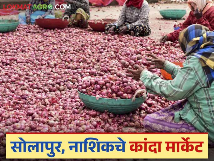 Latest News kanda Market Prices of onion in Lasalgaon market including Solapur have dropped, see Kanda bajarbhav | Kanda Market : आजही सोलापूरसह लासलगाव कांदा मार्केटमध्ये दर घसरले, वाचा काय मिळतोय दर  Latest News kanda Market Prices of onion in Lasalgaon market including Solapur have dropped, see Kanda bajarbhav | Kanda Market : आजही सोलापूरसह लासलगाव कांदा मार्केटमध्ये दर घसरले, वाचा काय मिळतोय दर