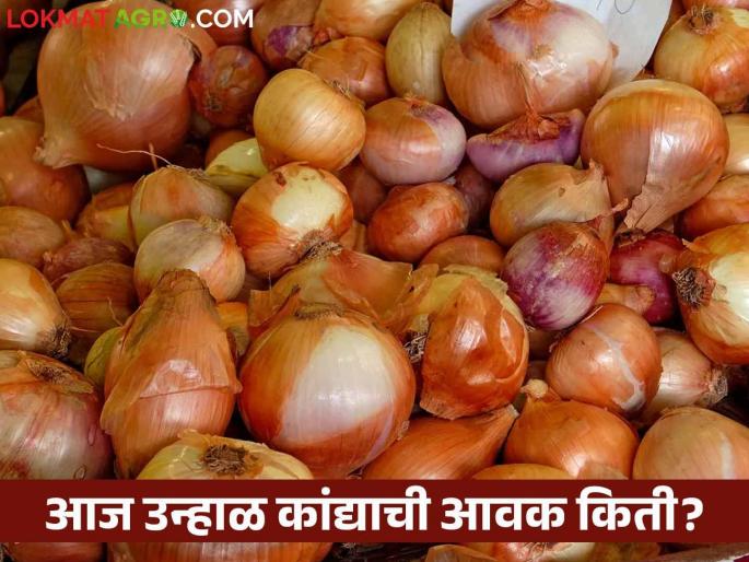 Latest News Kanda Bajarbhav todays onion Market Price in nashik, solapur kanda market see details | Kanda Bajarbhav : लाल-उन्हाळ कांद्याला काय भाव मिळतोय? वाचा आजचे सविस्तर बाजारभाव Latest News Kanda Bajarbhav todays onion Market Price in nashik, solapur kanda market see details | Kanda Bajarbhav : लाल-उन्हाळ कांद्याला काय भाव मिळतोय? वाचा आजचे सविस्तर बाजारभाव