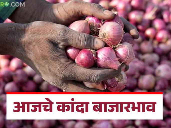 Latest News Pune Kanda Market price of local onion in Pune market see todays lal kanda market | Pune Kanda Market : पुणे बाजारात लोकल कांद्याला काय भाव? तर लाल कांद्याला राज्यात काय भाव मिळाला? 