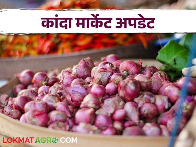 Latest News Kanda Bajarbhav Todays Onion Market price in solapur and Nashik kanda market see details | Kanda Bajarbhav : सोलापुरात कांदा आवक वाढली, नाशिकमध्ये आज काय बाजारभाव मिळाला?  Latest News Kanda Bajarbhav Todays Onion Market price in solapur and Nashik kanda market see details | Kanda Bajarbhav : सोलापुरात कांदा आवक वाढली, नाशिकमध्ये आज काय बाजारभाव मिळाला?