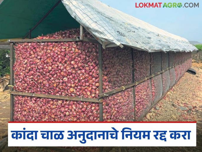 latest News Kanda chal increase subsidy on onion chal says onion farmers | Kanda Chal : 'मागेल त्याला' या तत्त्वावर कांदा चाळ द्या, शिवाय अनुदानात वाढ करा latest News Kanda chal increase subsidy on onion chal says onion farmers | Kanda Chal : 'मागेल त्याला' या तत्त्वावर कांदा चाळ द्या, शिवाय अनुदानात वाढ करा