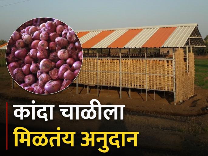 Onion Chaal Funding Scheme under National Horticulture Mission | Onion Storage; कांदा चाळीत साठवायचाय मग घ्या ह्या योजनेचा लाभ Onion Chaal Funding Scheme under National Horticulture Mission | Onion Storage; कांदा चाळीत साठवायचाय मग घ्या ह्या योजनेचा लाभ