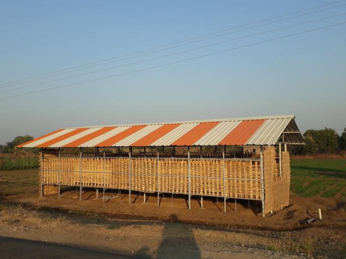 Finally, onion godown made in khamgaon | अखेर कांदाचाळी आल्या जागेवर; कृषी विभागाच्या बडग्यामुळे कांदाचाळीची पुन्हा उभारणी Finally, onion godown made in khamgaon | अखेर कांदाचाळी आल्या जागेवर; कृषी विभागाच्या बडग्यामुळे कांदाचाळीची पुन्हा उभारणी