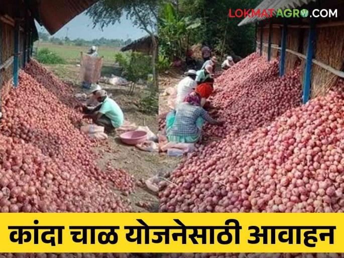 Latest News Call to apply for Kanda Chal Yojna, how to apply on mahadbt | Kanda Chal Yojna : कांदा चाळ योजनेसाठी अर्ज करण्याचे आवाहन, काय आहे ही योजना Latest News Call to apply for Kanda Chal Yojna, how to apply on mahadbt | Kanda Chal Yojna : कांदा चाळ योजनेसाठी अर्ज करण्याचे आवाहन, काय आहे ही योजना