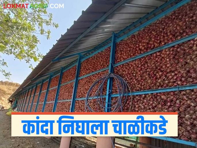 Kanda chals are being prepared by spending lakhs in anticipation of price hike; Farmers prefer onion storage | दर वाढीच्या अपेक्षेने लाखोंचा खर्च करून तयार होतायत कांदा चाळी; शेतकऱ्यांची साठवणुकीलाच पसंती Kanda chals are being prepared by spending lakhs in anticipation of price hike; Farmers prefer onion storage | दर वाढीच्या अपेक्षेने लाखोंचा खर्च करून तयार होतायत कांदा चाळी; शेतकऱ्यांची साठवणुकीलाच पसंती
