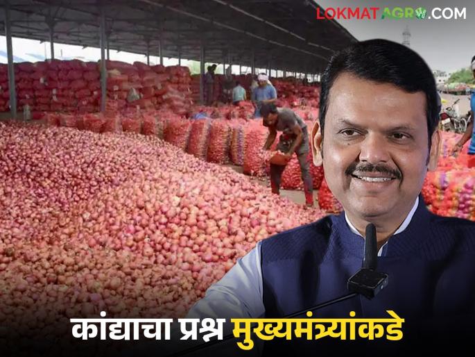 Latest News Kanda Rate Issue Chief Minister Fadnavis will discuss the onion issue with Central Government, read in detail | कांद्याच्या मुद्द्यावर मुख्यमंत्री फडणवीस करणार केंद्र सरकारशी चर्चा, वाचा सविस्तर  Latest News Kanda Rate Issue Chief Minister Fadnavis will discuss the onion issue with Central Government, read in detail | कांद्याच्या मुद्द्यावर मुख्यमंत्री फडणवीस करणार केंद्र सरकारशी चर्चा, वाचा सविस्तर