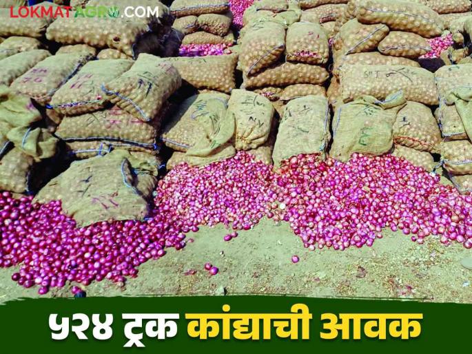 Kanda Bajar Bhav: 524 truckloads of onions were arrival in Solapur market committee how much get market price | Kanda Bajar Bhav : सोलापूर बाजार समितीत ५२४ ट्रक कांद्याची आवक चांगल्या कांद्याला मिळाला असा दर Kanda Bajar Bhav: 524 truckloads of onions were arrival in Solapur market committee how much get market price | Kanda Bajar Bhav : सोलापूर बाजार समितीत ५२४ ट्रक कांद्याची आवक चांगल्या कांद्याला मिळाला असा दर