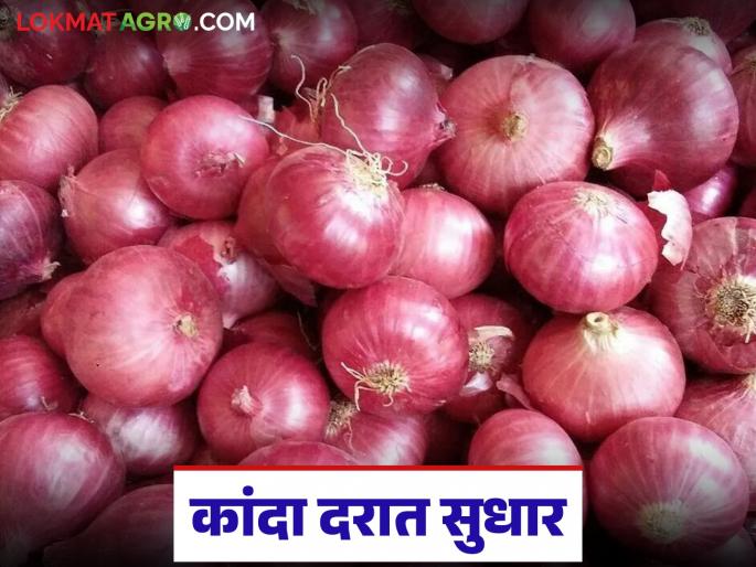 Kanda Market : Onion and potato prices increased in Chakan Market Committee; Read how the price is being obtained? | Kanda Market : चाकण बाजार समितीत कांदा-बटाट्याचे भाव वाढले; वाचा कसा मिळतोय दर? Kanda Market : Onion and potato prices increased in Chakan Market Committee; Read how the price is being obtained? | Kanda Market : चाकण बाजार समितीत कांदा-बटाट्याचे भाव वाढले; वाचा कसा मिळतोय दर?