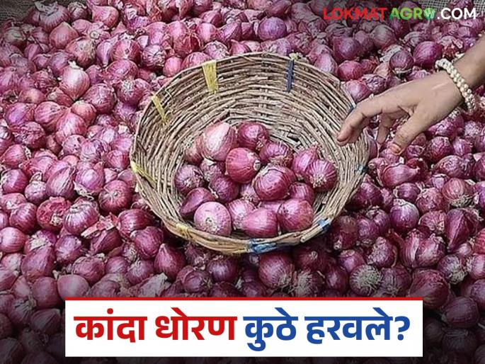 Latest news Kanda Issue new committee appointed to decide onion policy | कांदा धोरण ठरविण्यासाठी नव्याने समिती का नेमली, पणन मंत्री काय म्हणाले? 