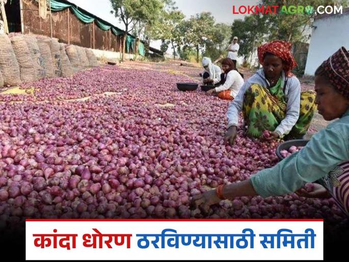 Latest news kanda Issue government committee to decide onion policy, see committee members | आता कांदा धोरण ठरविण्यासाठी शासनाची समिती, समितीचे सदस्य कोण-कोण? 
