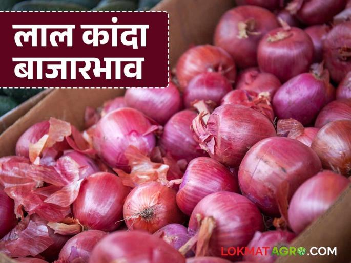Latest News Kanda Bajarbhav Onion market prices in Pune, Sangamner, Pimpalgaon Baswant Market, read in detail | Kanda Bajarbhav : पुणे, संगमनेर, पिंपळगाव बसवंत बाजारातील कांदा बाजारभाव, वाचा सविस्तर  Latest News Kanda Bajarbhav Onion market prices in Pune, Sangamner, Pimpalgaon Baswant Market, read in detail | Kanda Bajarbhav : पुणे, संगमनेर, पिंपळगाव बसवंत बाजारातील कांदा बाजारभाव, वाचा सविस्तर