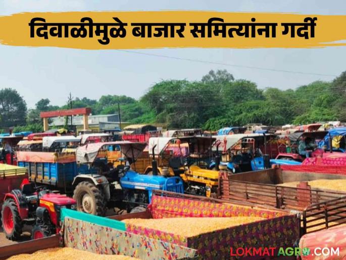 Diwali Kanda Market: Due to the Diwali festival, the arrival of onions increased, the Rameshwar Agricultural Market in Dewala continues today | Diwali Kanda Market : दिवाळी सणामुळे कांदा आवक वाढली, देवळ्यातील रामेश्वर कृषी मार्केट आजही सुरू