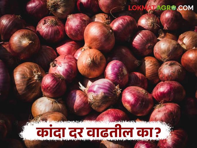 Latest News Kanda Market How will onion market prices be in April after Centre's export duty decision Read in detail | Kanda Bajarbhav : एप्रिलमध्ये कांदा बाजारभाव वाढतील का? वाचा सविस्तर  Latest News Kanda Market How will onion market prices be in April after Centre's export duty decision Read in detail | Kanda Bajarbhav : एप्रिलमध्ये कांदा बाजारभाव वाढतील का? वाचा सविस्तर