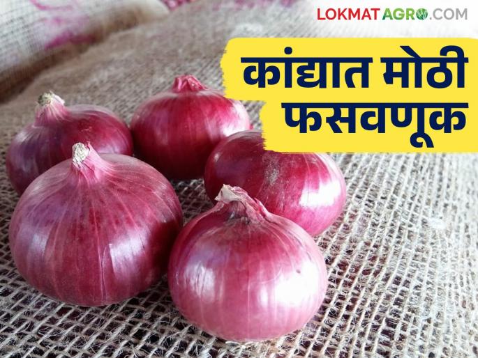 Onion farmers in Nevasa taluka cheated of Rs 61 lakh 75 thousand; Read the case in detail | नेवासा तालुक्यात कांदा उत्पादक शेतकऱ्यांची ६१ लाख ७५ हजार रुपयांची फसवणूक; काय आहे प्रकरण वाचा सविस्तर Onion farmers in Nevasa taluka cheated of Rs 61 lakh 75 thousand; Read the case in detail | नेवासा तालुक्यात कांदा उत्पादक शेतकऱ्यांची ६१ लाख ७५ हजार रुपयांची फसवणूक; काय आहे प्रकरण वाचा सविस्तर
