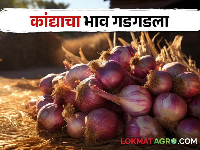 Center lifts export ban; But the farmers are in trouble due to imposition of export duty | केंद्राने निर्यातबंदी उठवली; मात्र निर्यातशुल्क लावल्याने शेतकरी अडचणीत