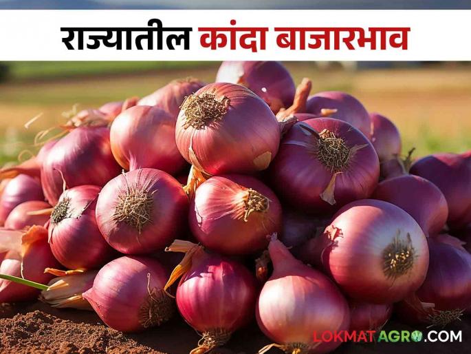 Latest News Kanda Bajarbhav todays onion Market price in Lasalgaon kanda market see details | Kanda Bajarbhav : लासलगाव बाजारात उन्हाळ कांद्याला काय भाव? वाचा आजचे बाजारभाव