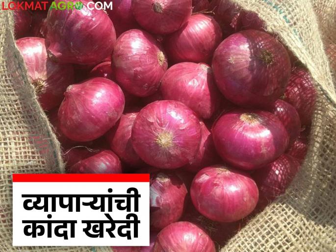 Kanda Kharedi : Increase in onion production; Traders buy onions at rock-bottom prices | Kanda Kharedi : कांदा उत्पादनात वाढ; व्यापाऱ्यांकडून मातीमोल किमतीने कांदा खरेदी Kanda Kharedi : Increase in onion production; Traders buy onions at rock-bottom prices | Kanda Kharedi : कांदा उत्पादनात वाढ; व्यापाऱ्यांकडून मातीमोल किमतीने कांदा खरेदी