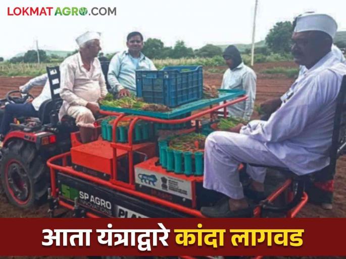 Latest News Kanda lagvad Onion Cultivation by Machine Now Labor, cultivation costs will be less, read in detail  | Onion Cultivation : आता यंत्राद्वारे कांदा लागवड; मजुरी, लागवड खर्च होणार कमी, वाचा सविस्तर  Latest News Kanda lagvad Onion Cultivation by Machine Now Labor, cultivation costs will be less, read in detail  | Onion Cultivation : आता यंत्राद्वारे कांदा लागवड; मजुरी, लागवड खर्च होणार कमी, वाचा सविस्तर