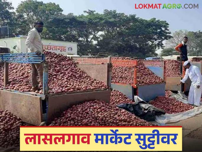 Latest News Lasalgaon onion market on five-day holiday from today, read in detail | Lasalgoan Kanda Market : आजपासून लासलगाव कांदा मार्केट पाच दिवस सुट्टीवर, वाचा सविस्तर  Latest News Lasalgaon onion market on five-day holiday from today, read in detail | Lasalgoan Kanda Market : आजपासून लासलगाव कांदा मार्केट पाच दिवस सुट्टीवर, वाचा सविस्तर