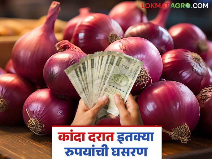 Latest news kanda market udpate umrane and lasalgaon kanda market down read in detail | Kanda Market Update : उमराणेत हजार रुपये, तर लासलगाव बाजारात 400 रुपयांची घसरण, वाचा सविस्तर Latest news kanda market udpate umrane and lasalgaon kanda market down read in detail | Kanda Market Update : उमराणेत हजार रुपये, तर लासलगाव बाजारात 400 रुपयांची घसरण, वाचा सविस्तर