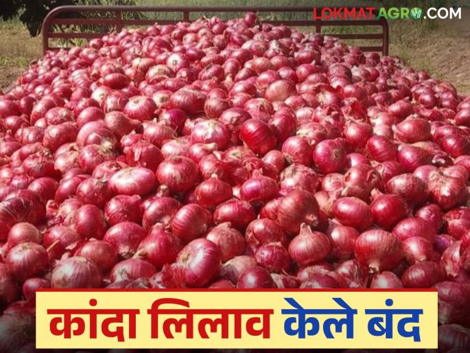 Onion prices have fallen; Onion auctions in this market committee in the state have been suspended for some time | कांद्याचे भाव पडले; राज्यातील या बाजार समितीतील कांदा लिलाव काही वेळ ठेवले बंद Onion prices have fallen; Onion auctions in this market committee in the state have been suspended for some time | कांद्याचे भाव पडले; राज्यातील या बाजार समितीतील कांदा लिलाव काही वेळ ठेवले बंद